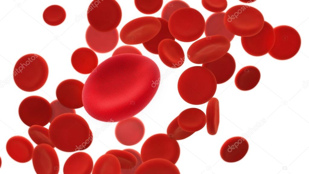 blood cells