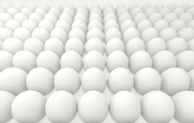 white eggs in rows