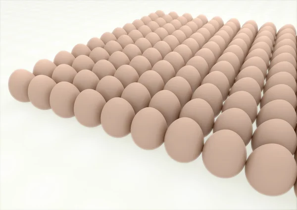 Eggs in rows — Stockfoto