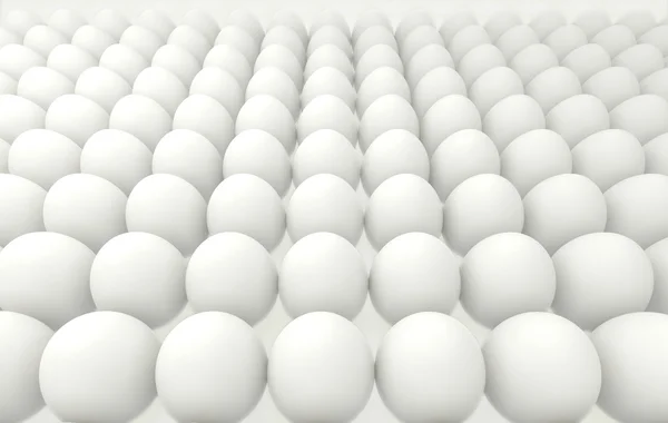 White eggs in rows — Stock Photo, Image