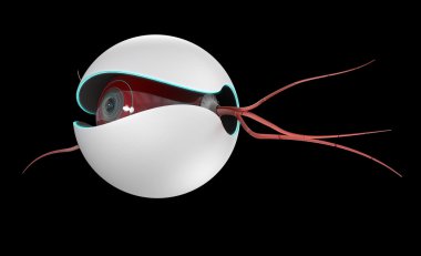 Nano bot