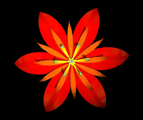 Fiore rosso — Foto Stock