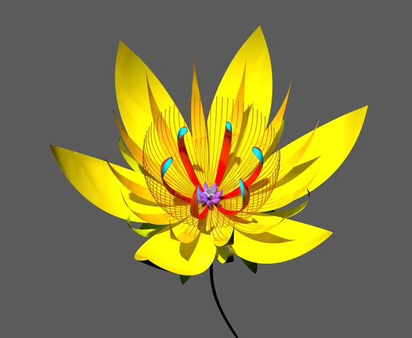 Yellow lotos — Stock Photo, Image