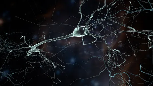 Neuron cell — Stockfoto