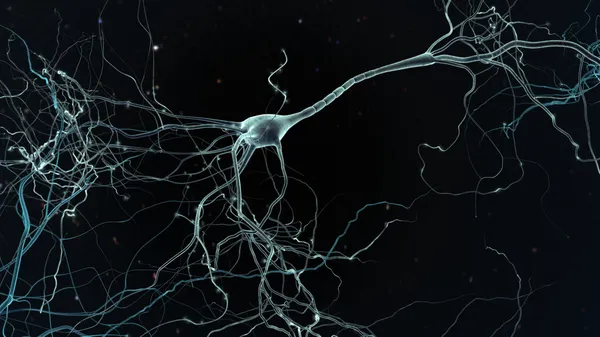 Нейрон клітинки — стокове фото