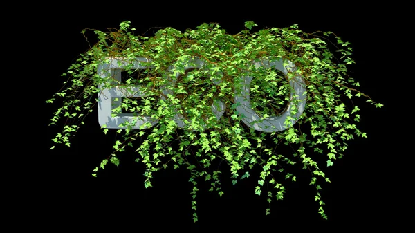Pojęcie słowa eko — Zdjęcie stockowe