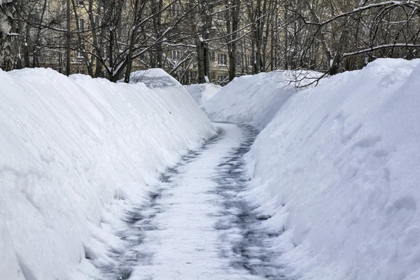 Trail i snön — Stockfoto