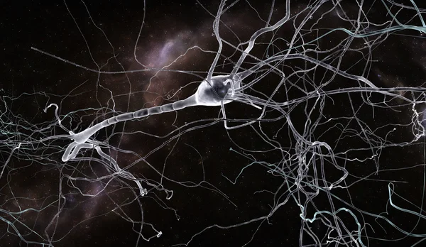 Célula neuronal —  Fotos de Stock