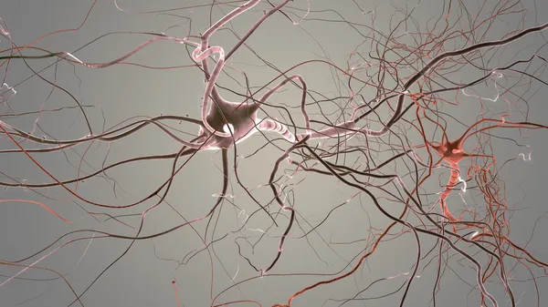 Cellula del neurone — Foto Stock