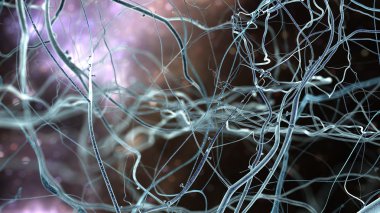 Neuronet