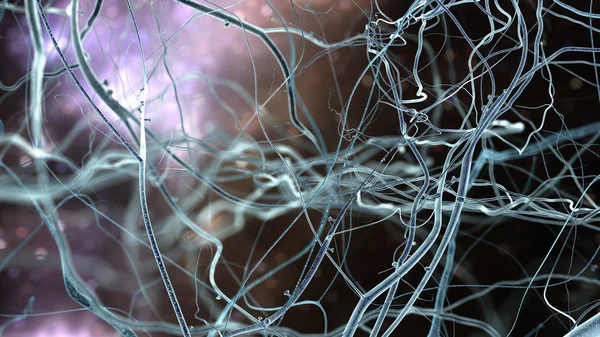 Neuronet