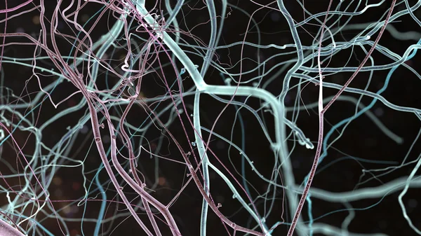 신경 구조 — 스톡 사진