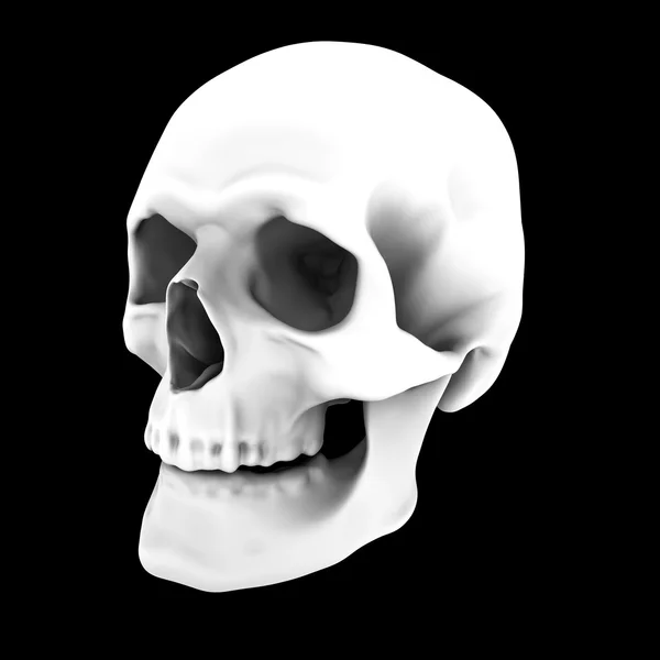 Scull humano — Foto de Stock