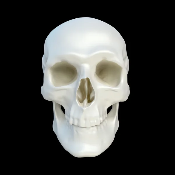 Emberi skulll — Stock Fotó