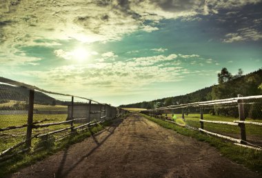 Beautiful view of the sunset in a field on a rural road clipart