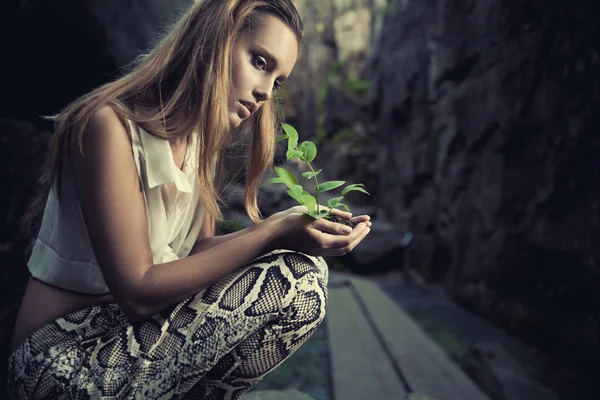 One plant in female hands — Stock Photo, Image