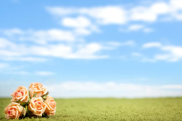 Photo-illustration of roses on a lawn — Stock Photo, Image