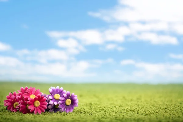 Photo-illustration of flowers on meadow — Stock Photo, Image