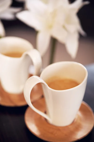 Dois adoráveis copos de cappuccino — Fotografia de Stock