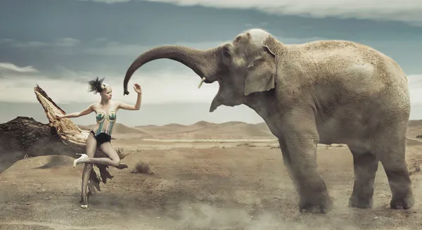 Sexy modieuze dame met olifant — Stockfoto