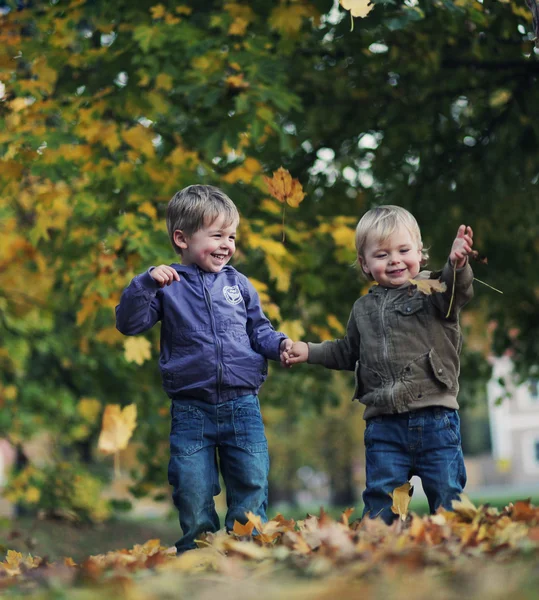 Grande divertimento nel parco autunnale Grande divertimento nel parco autunnale — Foto Stock