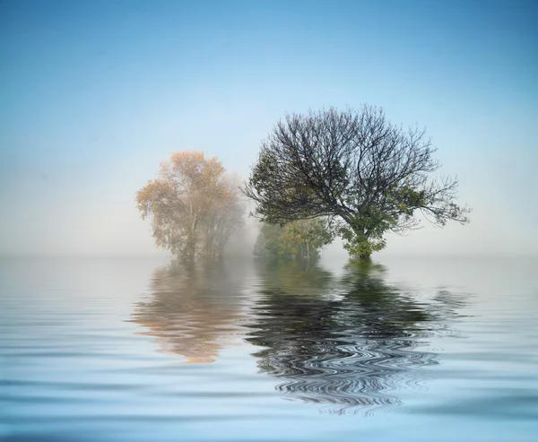 Marvelous shot of the nature — Stock Photo, Image