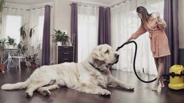 genç kadın temizlik büyük köpek