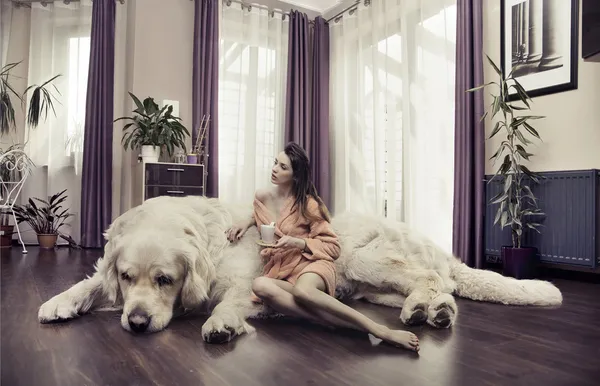 Молода жінка обіймає великого собаку Стокове Фото