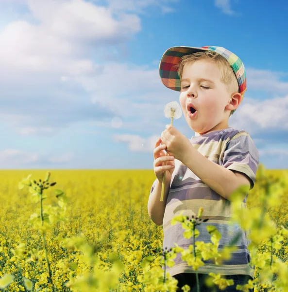 Kleurrijke foto van jonge jongen op de weide — Stockfoto