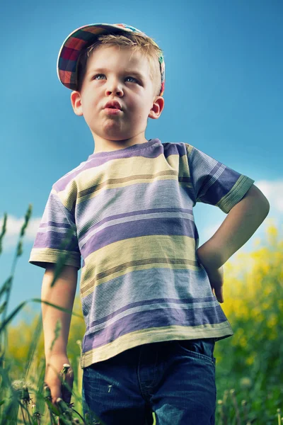 Nieuwsgierig kleine jongen op de weide — Stockfoto