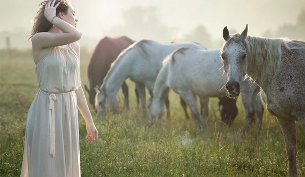 Aluring brunette walking next to the horses — Stock Photo, Image