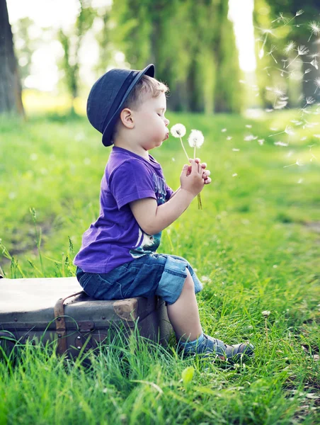 Small gentleman blowing the dandelions — Stock Photo, Image