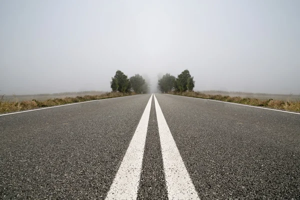 Pustej drodze w mglisty dzień — Zdjęcie stockowe