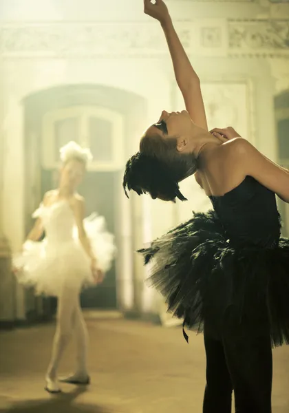 Two ballet dancers as a swans — Stock Photo, Image