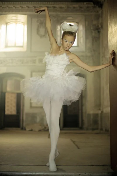Χαριτωμένο λευκό μπαλέτου χορευτής ως Σουάν Royalty Free Εικόνες Αρχείου