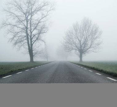 sabah sonbahar günü boş yol