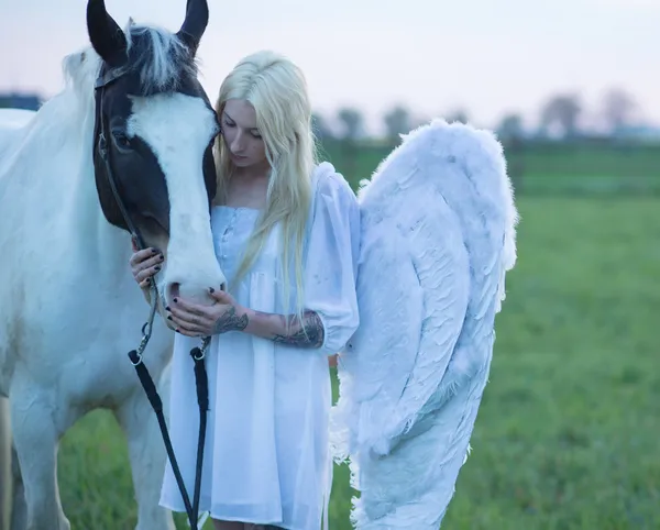 Blonďatý anděl pečující koně — Stock fotografie