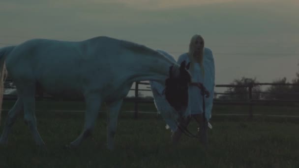 Woman with the horse — Stock Video