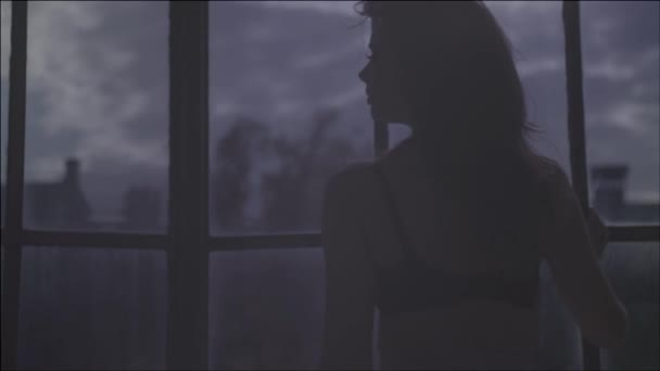 性感的女人在豪华房 — 图库视频影像