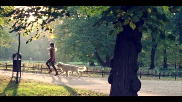 Señora con el perro — Vídeos de Stock