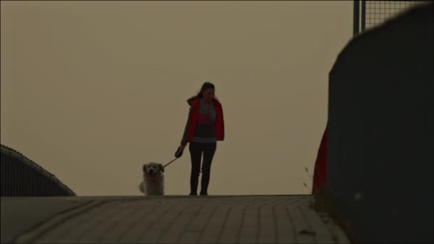 Femme avec chien — Video