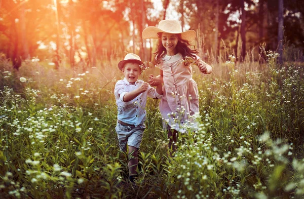 Leuke Broers Zussen Een Zomerweide — Stockfoto