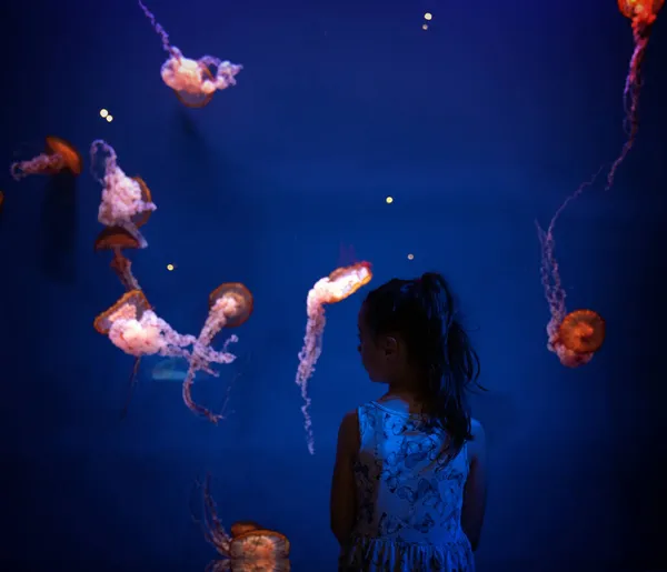 Linda Niña Pequeña Visitando Acuario Zoológico Fotos de stock libres de derechos