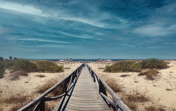 Zomer Stad Blauwe Hemel Uitzicht — Stockfoto