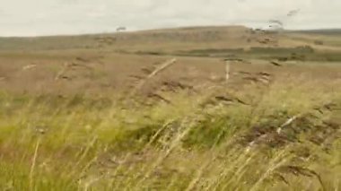 Turizm konsepti. İzlanda 'nın şaşırtıcı doğa manzarası