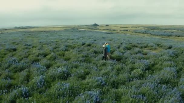 Concepto Turístico Increíble Paisaje Natural Islandia — Vídeos de Stock