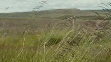 Turizm konsepti. İzlanda 'nın şaşırtıcı doğa manzarası