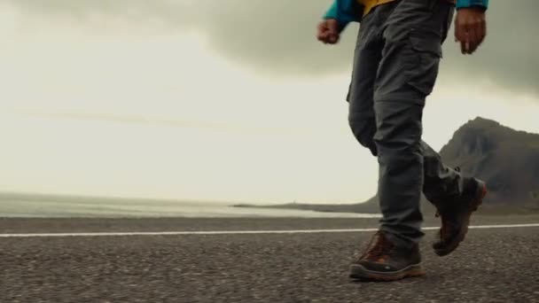 Viajante Desfrutando Paisagem Icelandic Deslumbrante — Vídeo de Stock