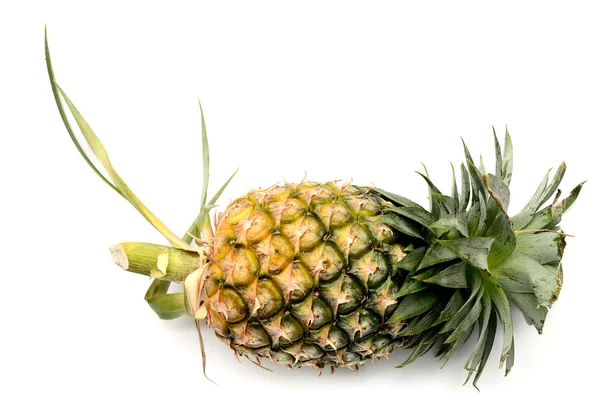 Ananas na białym tle — Zdjęcie stockowe