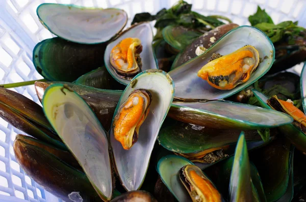 Asiatiska gröna musselbäddar, fisk och skaldjur på nära håll — Stockfoto